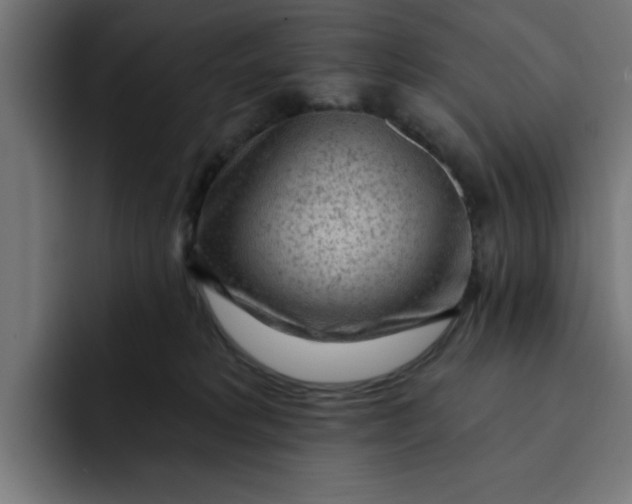 X0000092040229200710031030