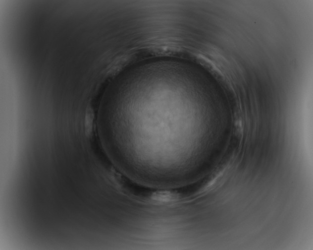 X0000092040231200710031030