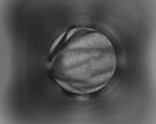 X0000092040232200710031030