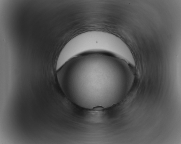 X0000092040233200710031030