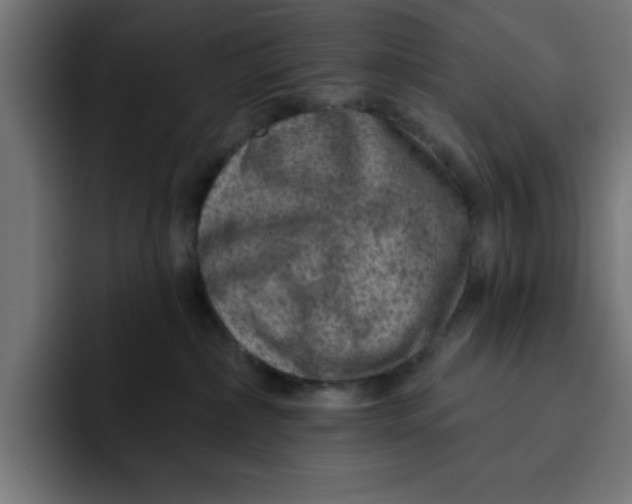 X0000092040236200710031030