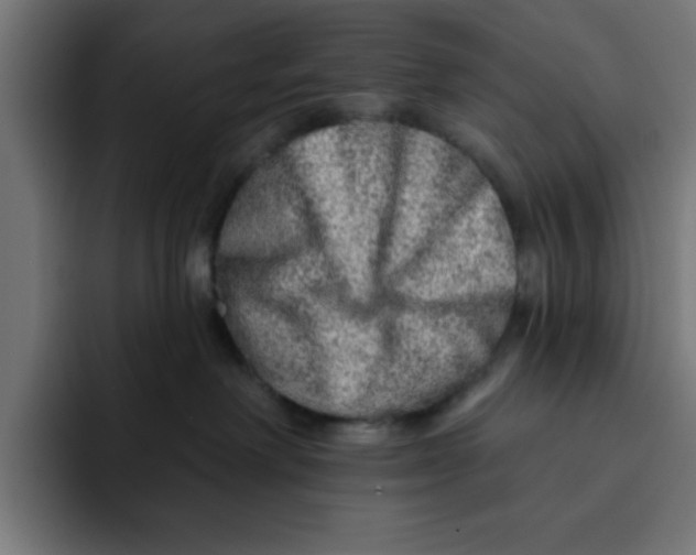 X0000092040238200710031030