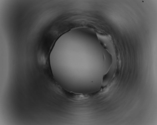 X0000092040239200710031030