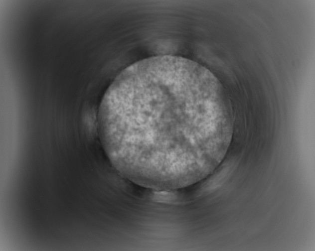 X0000092040240200710031030