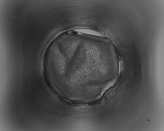 X0000092040243200710031029