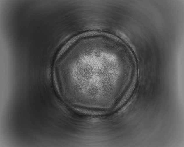 X0000092040249200710031030