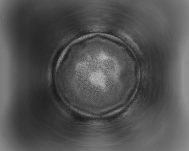 X0000092040250200710031030