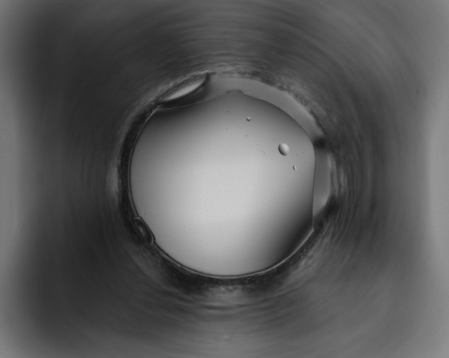 X0000092040252200710031030