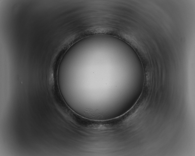 X0000092040254200710031030