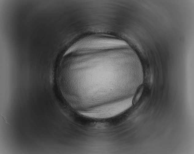 X0000092040255200710031030