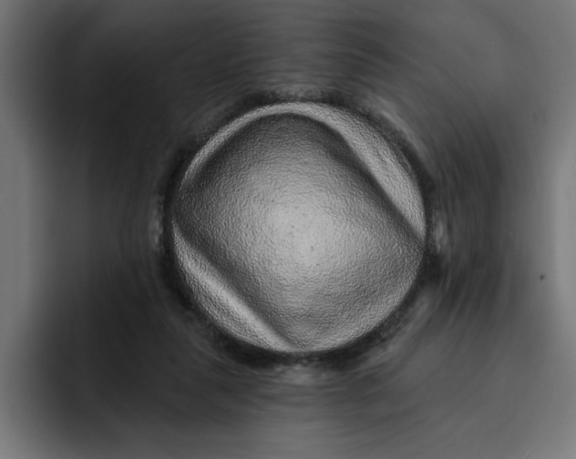 X0000092040259200710031030