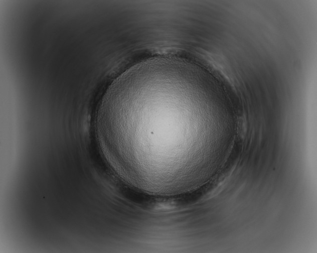 X0000092040263200710031030