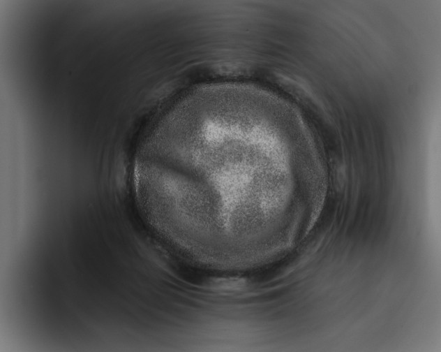 X0000092040266200710031030