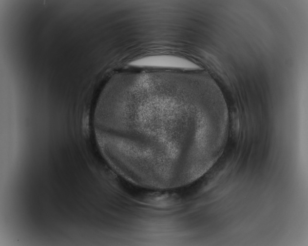 X0000092040267200710031030