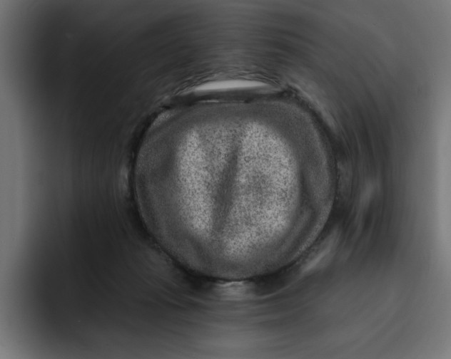 X0000092040269200710031030