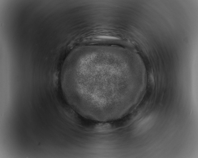 X0000092040271200710031030