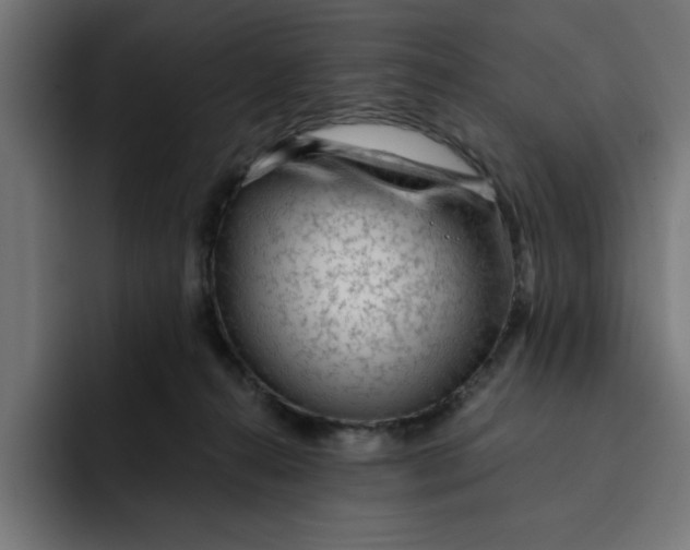 X0000092040272200710031030