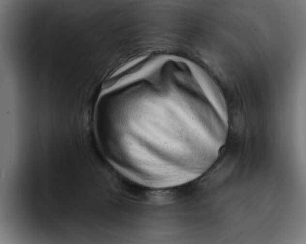 X0000092040273200710031030