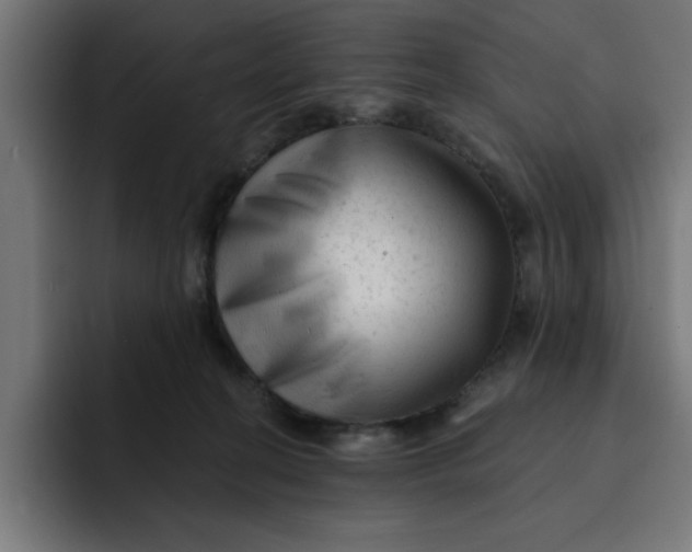 X0000092040274200710031030