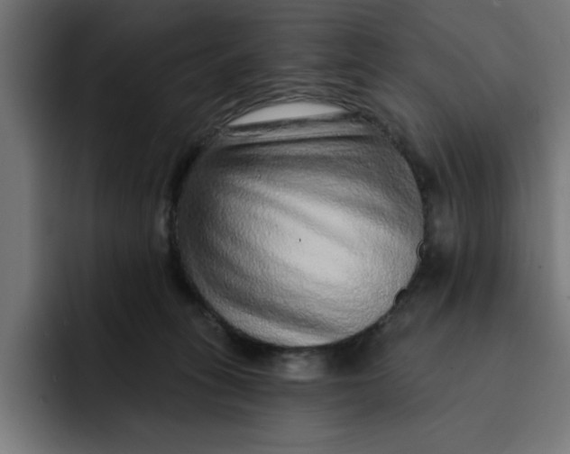 X0000092040275200710031030