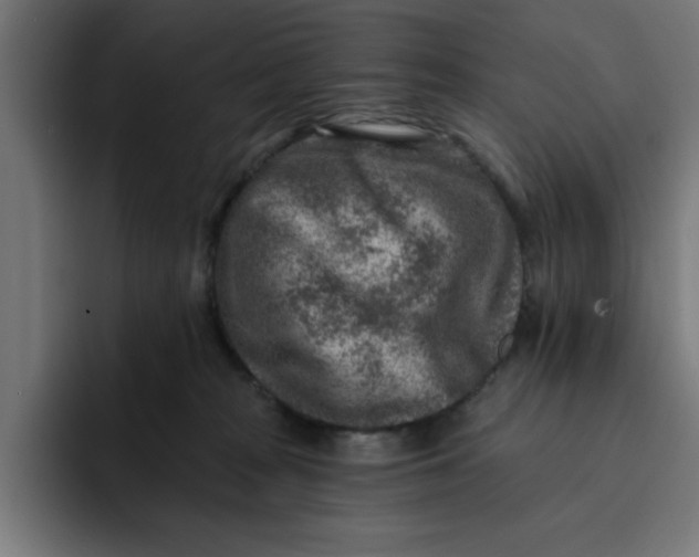 X0000092040277200710031030