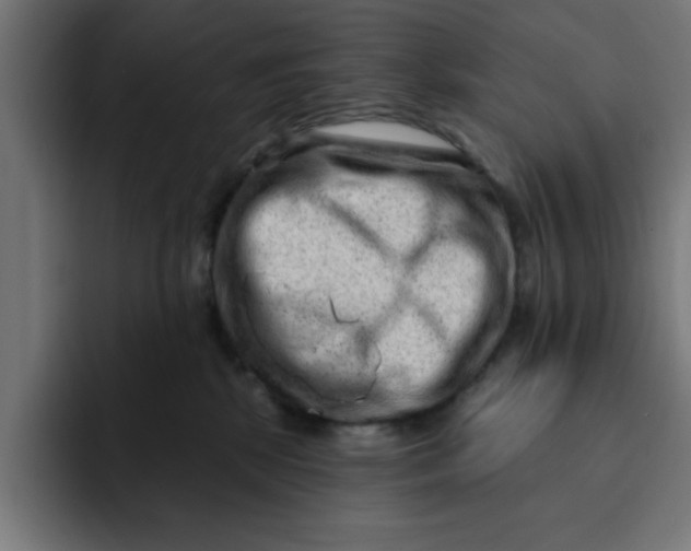 X0000092040281200710031030