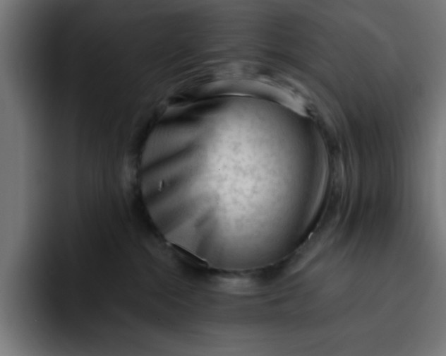 X0000092040284200710031030