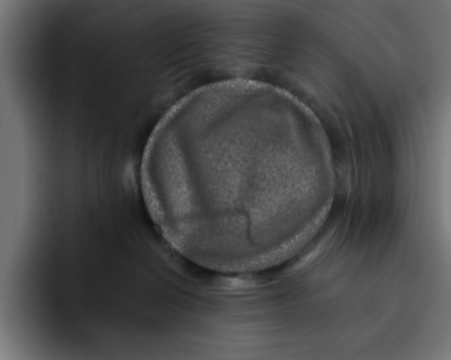 X0000092040286200710031030