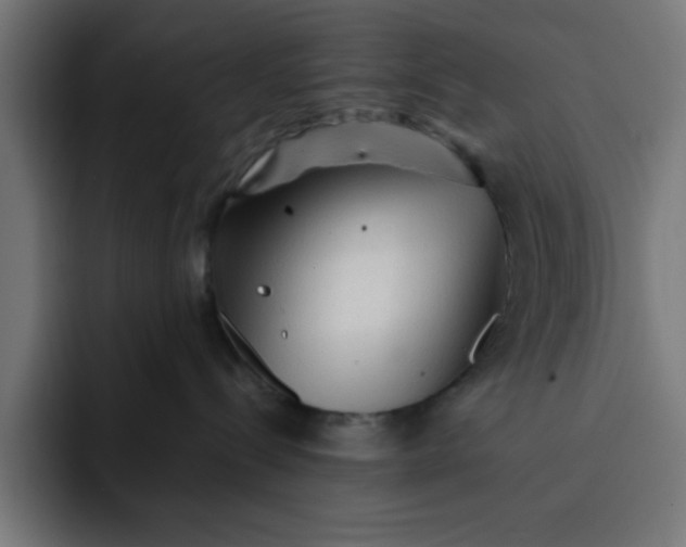 X0000092040288200710031030