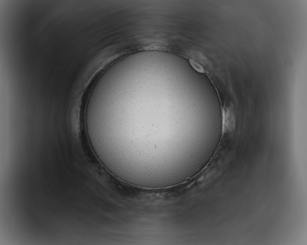 X0000092040291200710031029