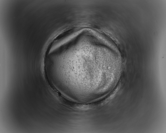 X0000092040293200710031029