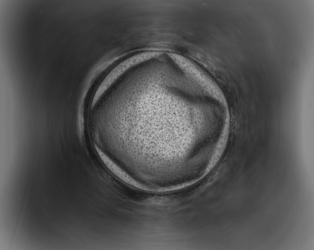 X0000092040294200710031029