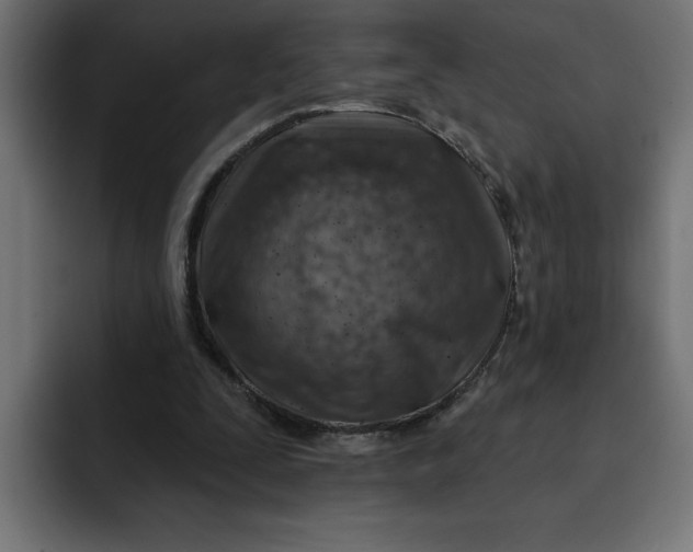 X0000092040295200710031029