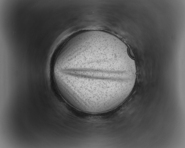 X0000092040296200710031029