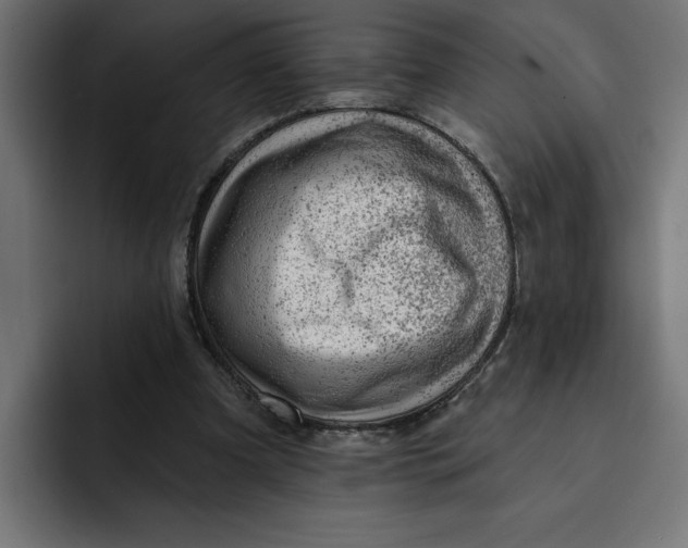 X0000092040297200710031029