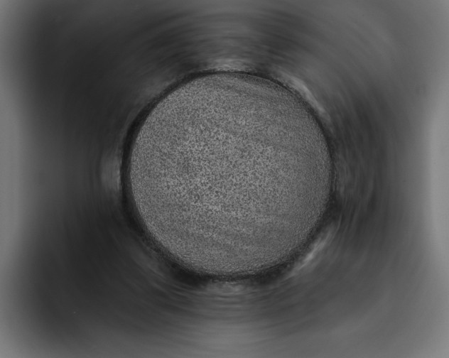 X0000092040299200710031029