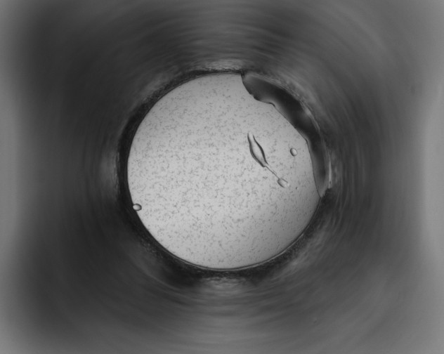 X0000092040300200710031029