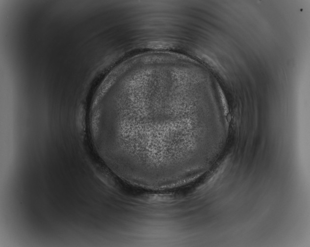 X0000092040303200710031029