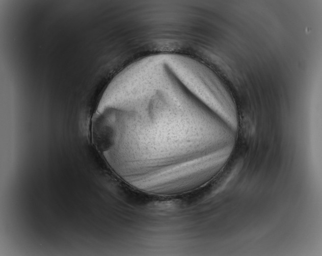 X0000092040307200710031029