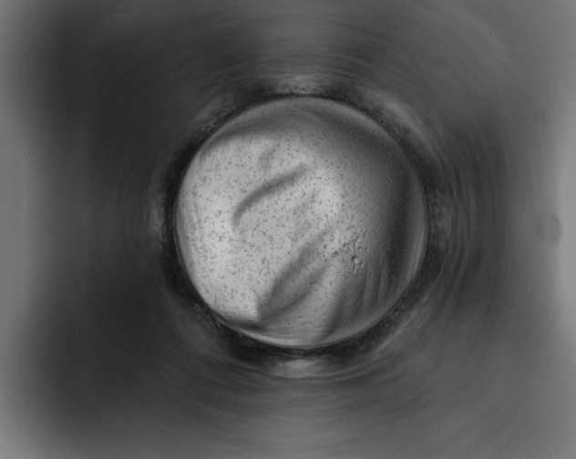 X0000092040312200710031029