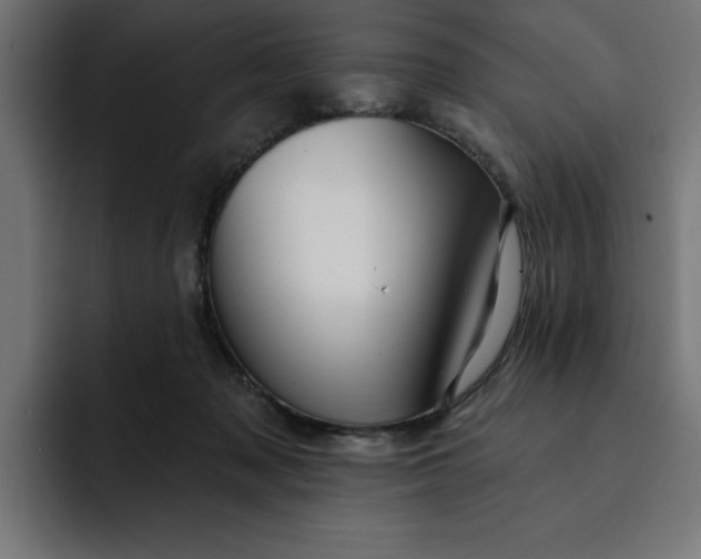 X0000092040317200710031029