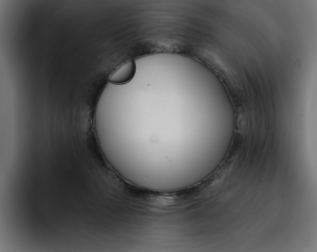 X0000092040318200710031029