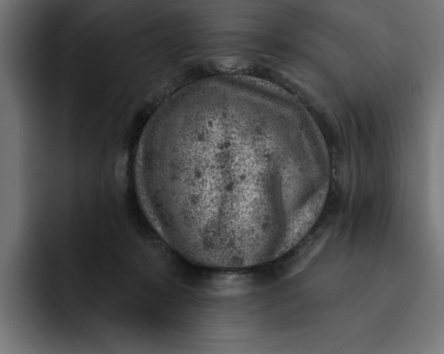 X0000092040319200710031029