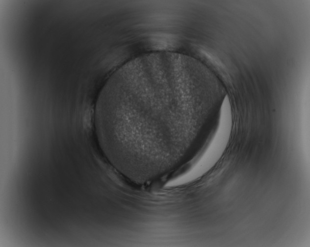 X0000092040325200710031029