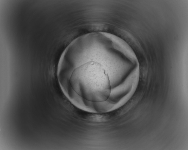 X0000092040326200710031029