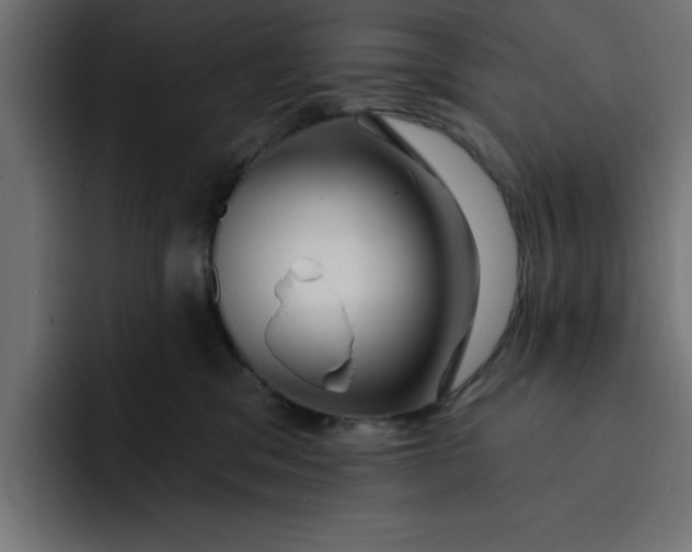 X0000092040329200710031029