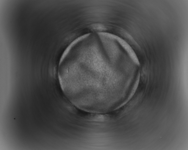 X0000092040330200710031029