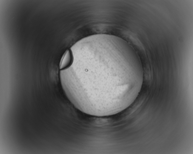 X0000092040332200710031029