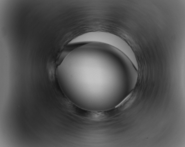 X0000092040333200710031029