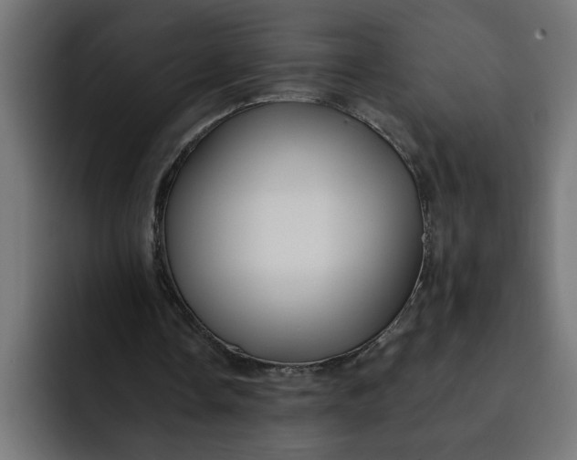 X0000092040338200710031028